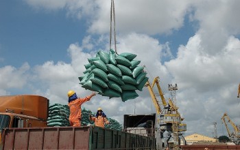 Doanh nghiệp kiến nghị nới lỏng xuất khẩu gạo để thuận lợi hơn