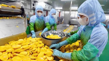 Hàng Việt khai thác EVFTA, mở rộng thị trường xuất khẩu