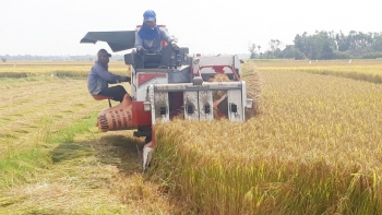 Bứt phá từ mô hình nông nghiệp công nghệ cao kết hợp du lịch biển