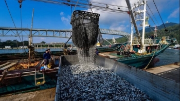 Thủ tướng yêu cầu tăng cường chống khai thác IUU và phát triển bền vững ngành thủy sản