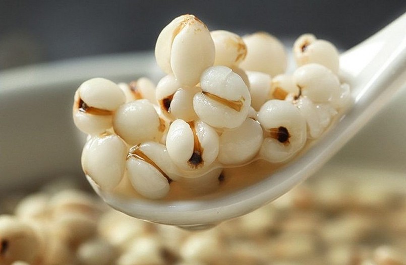 Trong y học cổ truyền, ý dĩ (hạt bo bo) là dược liệu được dùng hỗ trợ điều trị nhiều bệnh như ung thư, hô hấp, tiêu hóa