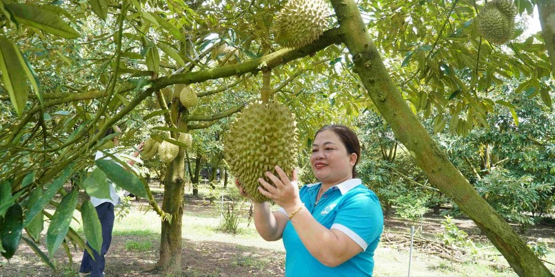 Với không gian gần gũi, thân thiện, nông trại nhanh chóng thu hút đông đảo du khách đến tham quan.