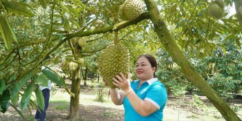 "Hái quả ngọt" từ mô hình nông trại thân thiện