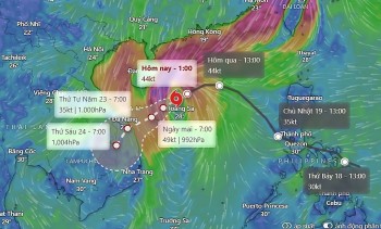 Thủ tướng Chính phủ chỉ đạo ứng phó bão số 12 ở mức cao nhất