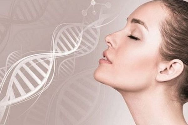 Collagen là loại protein dồi dào nhất trong cơ thể, chiếm khoảng 30% tổng lượng protein. Nó là thành phần chính xây dựng nên da, xương, cơ, gân và dây chằng. 