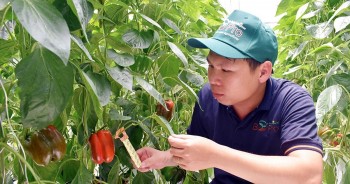 Nông sản “xanh” Việt Nam mở lối chinh phục thị trường EU