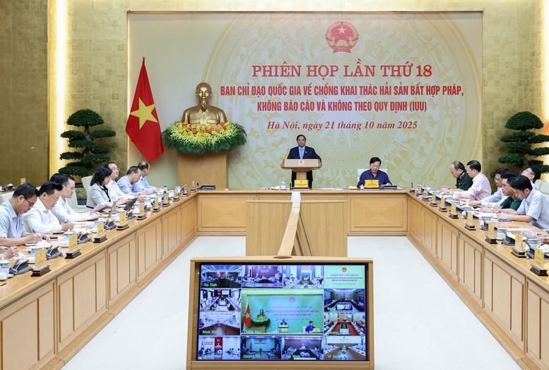 Thủ tướng chủ trì Phiên họp thứ 18, Ban Chỉ đạo Quốc gia về chống khai thác IUU - Ảnh: VGP