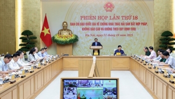 Thủ tướng: "Chưa có đột phá trong chống khai thác IUU, phải hành động quyết liệt hơn"