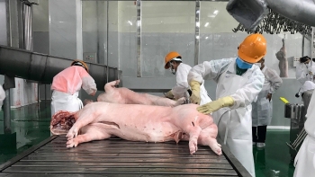 Hà Nội “dọn” lại thị trường thịt tươi sống: Xóa dần giết mổ nhỏ lẻ, siết chặt truy xuất nguồn gốc