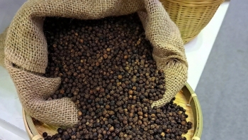 Nông sản Việt vươn xa nhờ dấu chân carbon thấp