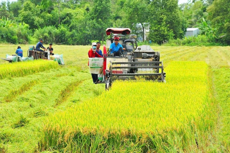 Sản xuất lúa giảm phát thải tại Đồng bằng sông Cửu Long. 