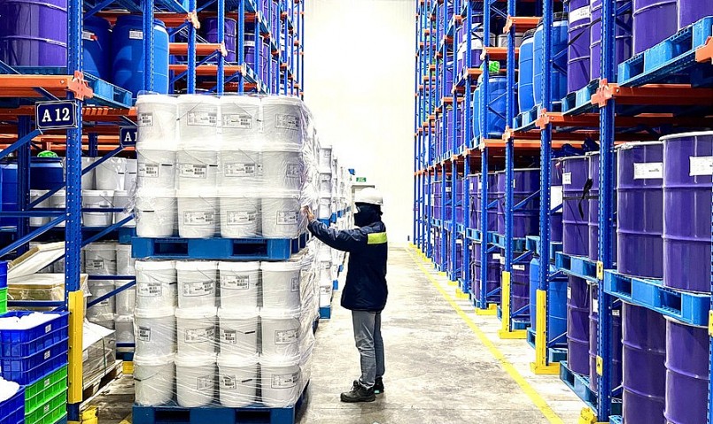 Gia Lai thu hút nhiều nhà máy chế biến trái cây xuất khẩu. Ảnh: Vũ Thảo