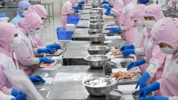 Thương mại Việt Nam – Singapore tăng tốc, mở rộng hợp tác kinh tế