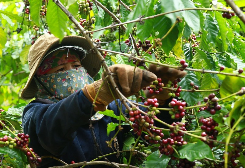 Nâng cao quản trị thuế: Giải pháp cho doanh nghiệp Việt