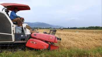 Nâng tầm nông sản nhờ chuỗi liên kết bền vững