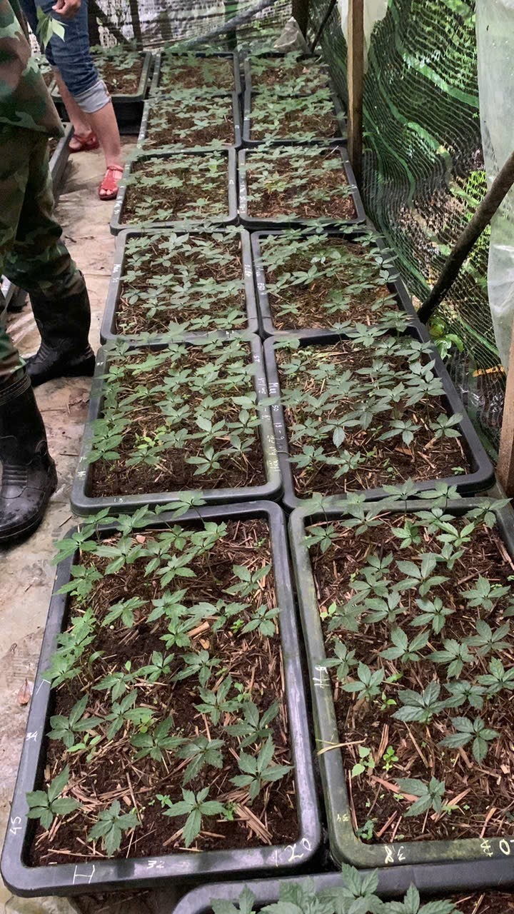 Nơi lưu giữ “quốc bảo” giữa đại ngàn: Thiên tai không làm nản lòng người