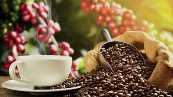 Giải bài toán thuế, mở dòng vốn cho doanh nghiệp cà phê