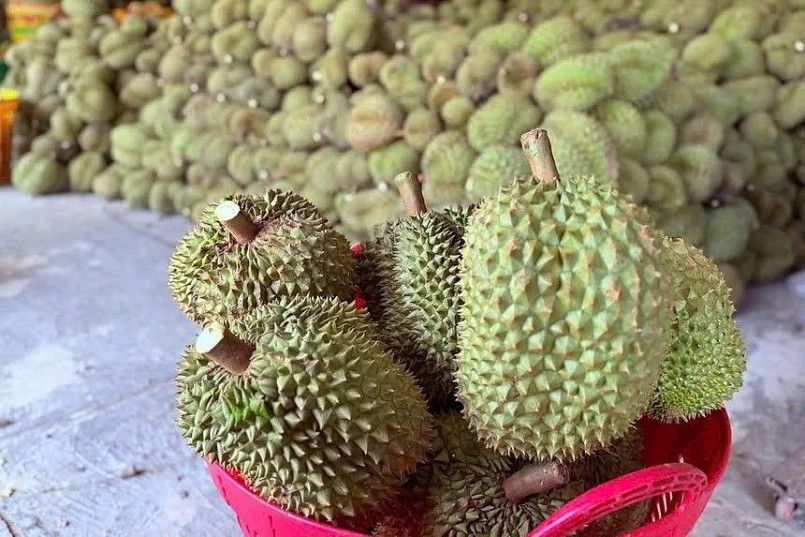 Gần 2.000 container sầu riêng ùn ứ, Hiệp hội Đắk Lắk kiến nghị khẩn gỡ khó