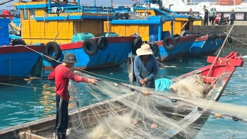 Thủy sản Việt Nam trước bước ngoặt gỡ thẻ vàng IUU