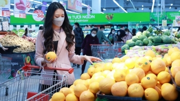 Phát triển thị trường bán lẻ Việt Nam: Giảm chi phí logistics và đẩy mạnh công nghệ số là then chốt