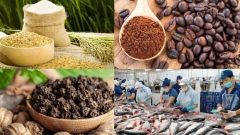 Quy tắc xuất xứ – "Tấm hộ chiếu vàng" giúp hàng Việt vươn xa