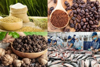 Quy tắc xuất xứ – "Tấm hộ chiếu vàng" giúp hàng Việt vươn xa