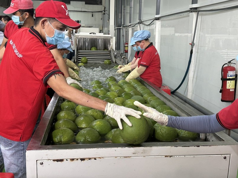 Mở rộng "đường băng" cho rau quả Việt Nam vào thị trường Đài Loan Mở rộng "đường băng" cho rau quả Việt Nam vào thị trường Đài Loan