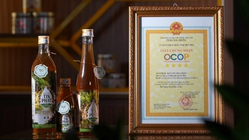 Nguồn từ thiên nhiên “Mật ong Hoa Dừa”