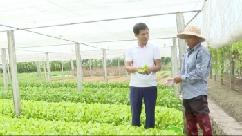 Nâng tầm giá trị nông sản từ hướng đi nông nghiệp hữu cơ