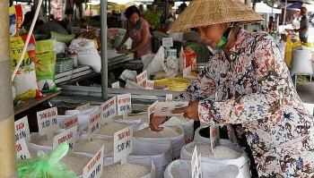 Nghịch lý thị trường lúa gạo: Giá xuất khẩu lao dốc, giá bán lẻ vẫn “neo” trên đỉnh