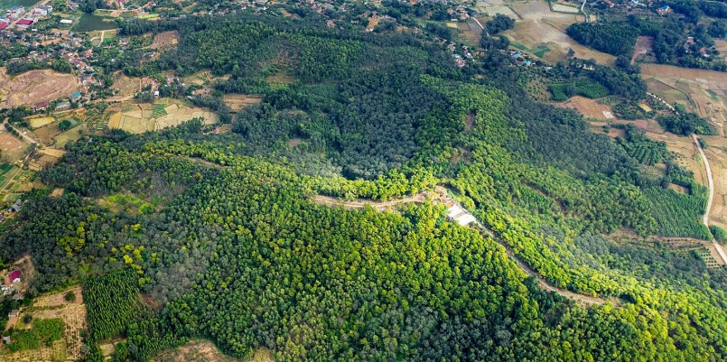 Con đường gạch với 345 bậc thoai thoải dẫn lên đỉnh núi như một dải lụa mềm mại, uốn lượn giữa màu xanh bạt ngàn của cây lá.