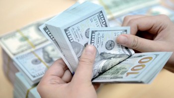 Ngân hàng Nhà nước yêu cầu báo cáo về thanh tra ngoại tệ trước 10/11