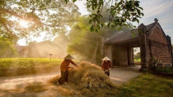 Làng cổ Đường Lâm – Hồn quê Việt giữa nhịp sống hiện đại