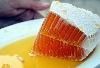 Cách phân biệt mật ong thật giả để không mất tiền oan