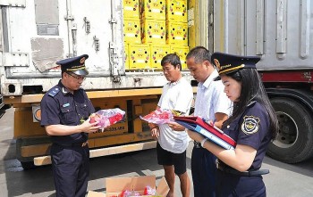 Hải quan tập trung nguồn lực lấy ý kiến hoàn thiện Đề án mô hình thông quan tập trung