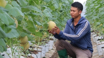 Chìa khóa vàng mở lối cho hợp tác xã nông nghiệp phát triển