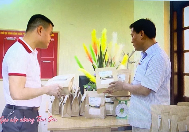 Gạo nếp nhung Tam Sơn: Hạt ngọc trời của vùng Kinh Bắc