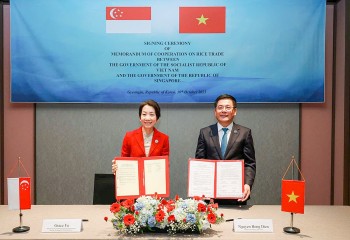 Việt Nam và Singapore ký kết Bản ghi nhớ hợp tác thương mại gạo – Bước tiến mới trong bảo đảm an ninh lương thực khu vực