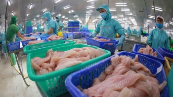 Thủy sản Việt tận dụng chuẩn EU để chinh phục thị trường châu Âu