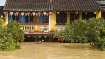 Bão Kalmaegi mạnh cấp 11, miền Trung đối mặt nguy cơ "bão chồng lũ"