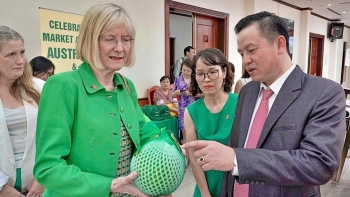 Chiến lược nào để bưởi Đoan Hùng vượt rào cản tiêu chuẩn, vươn ra thế giới?