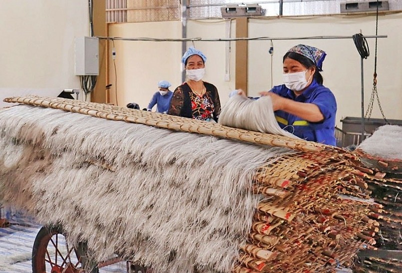 undefined Đảm bảo an toàn thực phẩm cho 10 triệu dân: Hà Nội siết chặt kiểm soát từ đồng ruộng đến bàn ăn