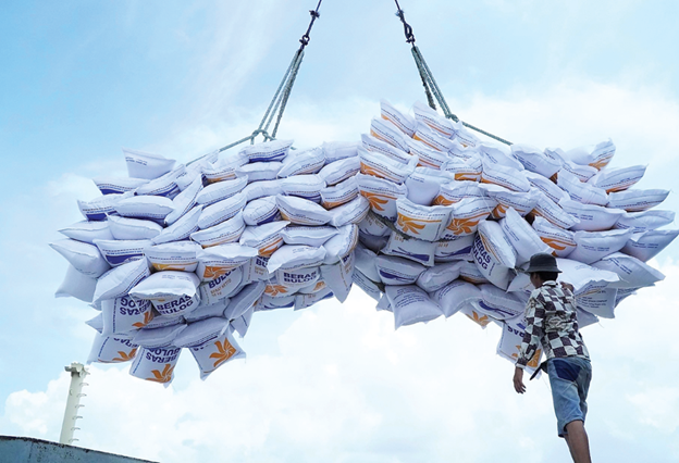 Tương lai hạt gạo Việt: Khi "thương hiệu" và "hương vị" quan trọng hơn giá cả