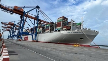 Từ ưu đãi thuế quan đến năng lực xanh: Hành trình mới của EVFTA