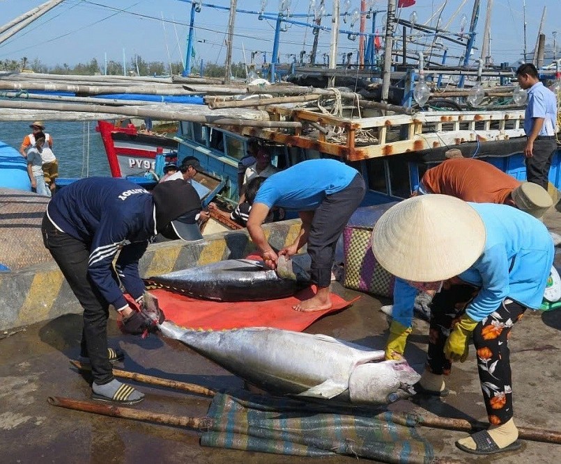 Việt Nam đứng thứ 7 trong danh sách các nước xuất khẩu thủy sản vào EU.