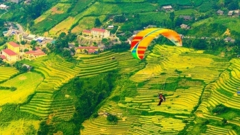 Mù Cang Chải: Mùa lúa vàng và lễ hội ruộng bậc thang đầy màu sắc
