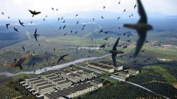 Bảo tồn gen và thương hiệu quốc gia: Hai trụ cột cho ngành yến bền vững