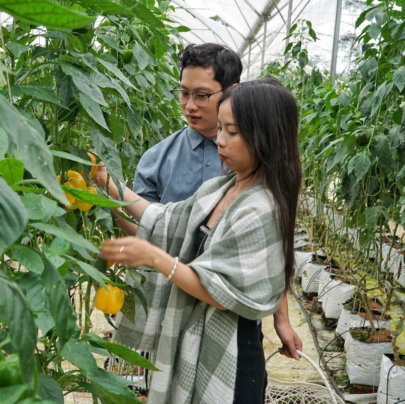 Du khách tham quan sản xuất nông nghiệp công nghệ cao ở Farmers Garden tại xã Măng Đen. Du khách tham quan sản xuất nông nghiệp công nghệ cao ở Farmers Garden tại xã Măng Đen.