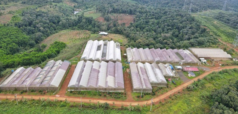 Vùng sản xuất rau, củ, quả ứng dụng công nghệ cao ở xã Măng Đen. Vùng sản xuất rau, củ, quả ứng dụng công nghệ cao ở xã Măng Đen.