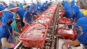 Giải mã nghịch lý ngành thủy sản: Càng siết thuế, lợi nhuận càng tăng?